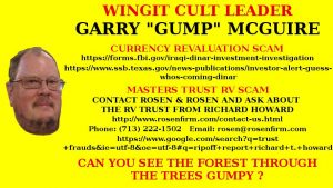 gerry maguire wingit